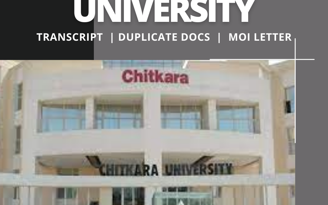 Chitkara University Transcript