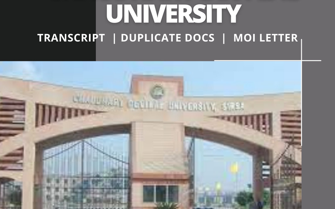 Chaudhary Devi Lal University Transcript