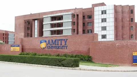 What are the fees charged by Amity University for transcript verification?