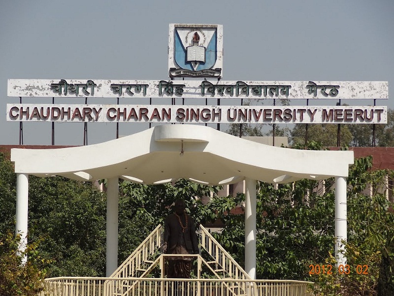 What documents are required to apply for a Transcript online from Chaudhary Charan Singh University?