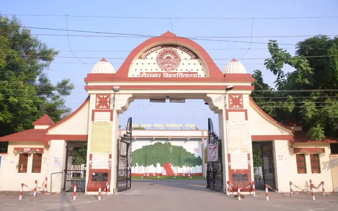 Does DDU Gorakhpur University send transcripts directly to WES Canada?